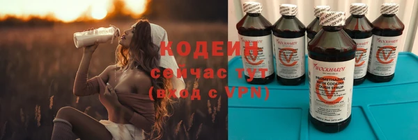 бошки Ельня