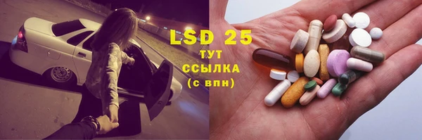 бошки Ельня