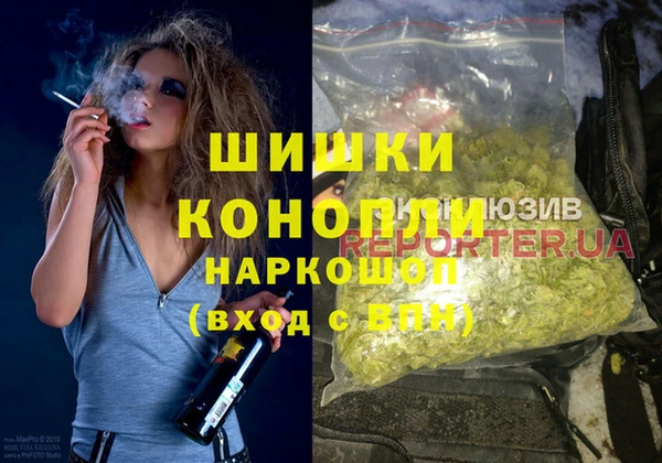 бошки Ельня