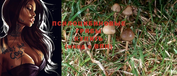 бошки Ельня