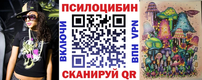 Псилоцибиновые грибы Psilocybine cubensis Купить Чадан